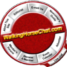 WalkingHorse.Chat